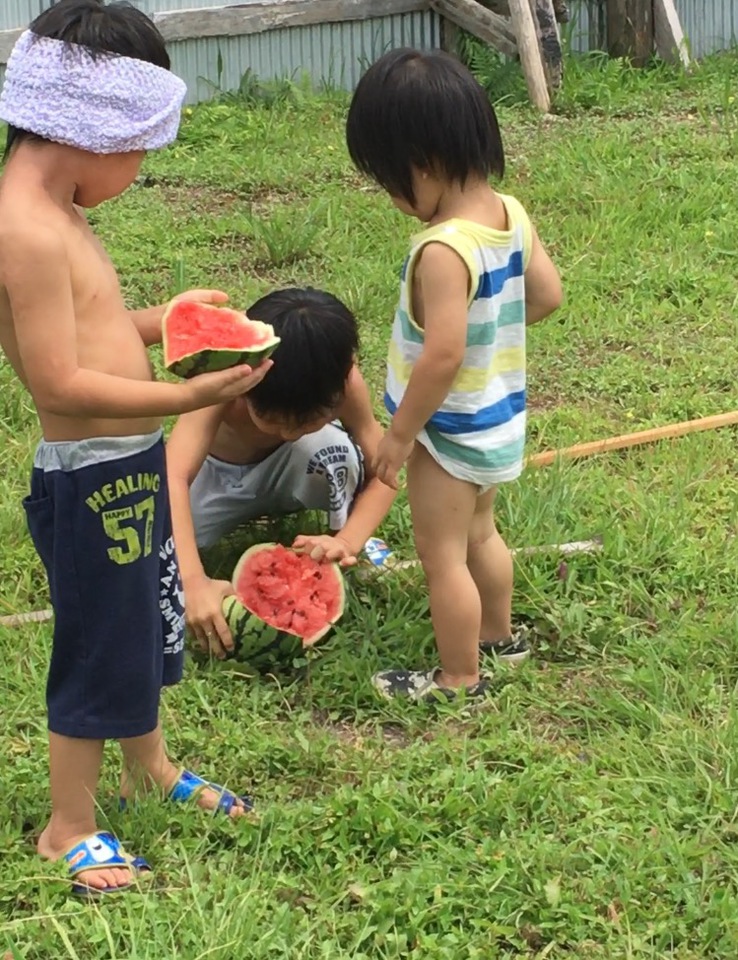 夏2